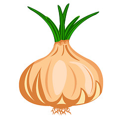 Image showing Vegetable onion