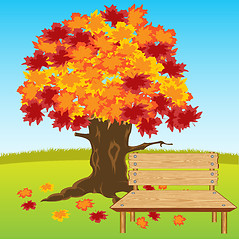 Image showing Bench under tree