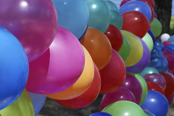 Image showing Colored balloons