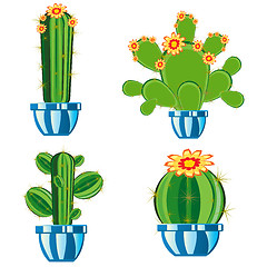 Image showing Cactuses in pot