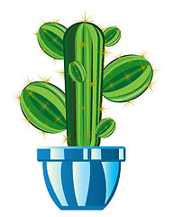 Image showing Cactus in pot