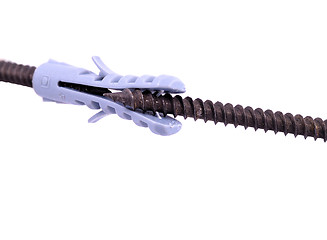Image showing A successful hunting screw