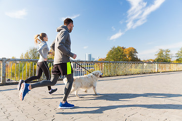 Image showing happy couple with dog running outdoors