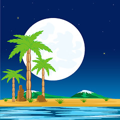 Image showing Night in tropic