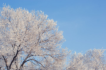 Image showing winter landscape of snow-covered fields, trees 