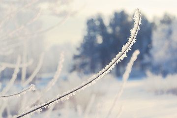 Image showing winter landscape of snow-covered fields, trees 