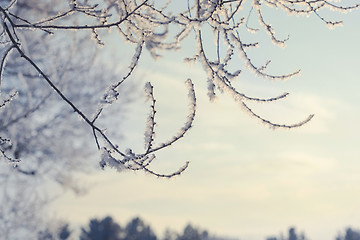 Image showing winter landscape of snow-covered fields, trees 