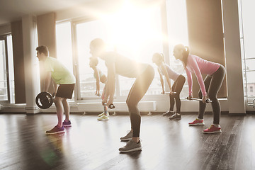 Image showing group of people exercising with barbell in gym