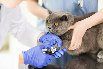 Image showing close up of vet with clipper cutting cat nail