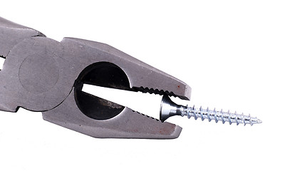 Image showing Pliers and a screw