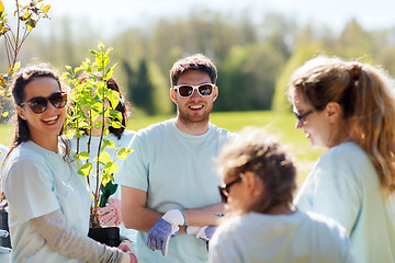 Image showing group of volunteers planting trees in park