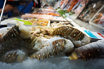 Image showing Lobsters  meat on market