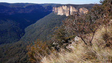 Image showing Blue Mountains National Park in Australia