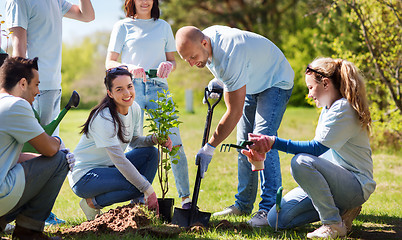 Image showing group of volunteers planting tree in park