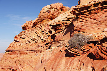 Image showing The Wave, Vermilion Cliffs National Monument, Arizona, USA