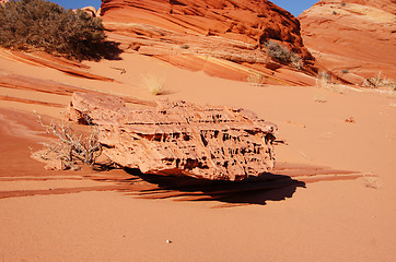 Image showing The Wave, Vermilion Cliffs National Monument, Arizona, USA