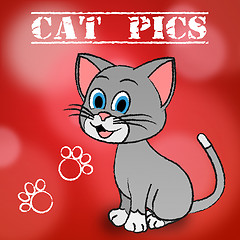 Image showing Cat Pics Shows Pet Photo And Pictures