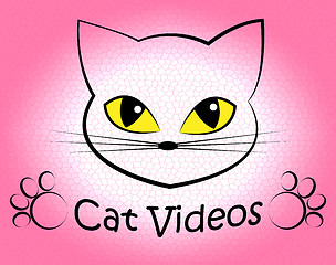 Image showing Cat Videos Indicates Audio Visual And Feline