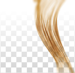 Image showing Closeup of long human hair