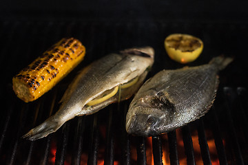 Image showing Grilled dorado fish