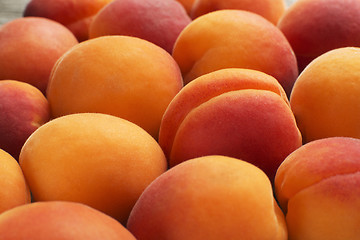 Image showing Apricot