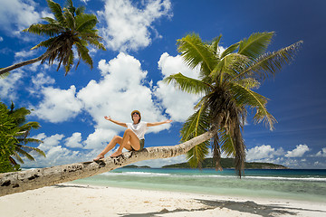 Image showing Relaxing On Palmtree