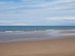 Image showing Sea beach shore