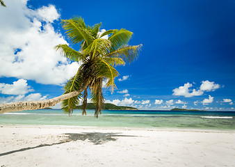 Image showing Beautiful beach in Seychelles