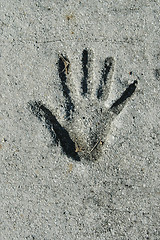 Image showing Handprint