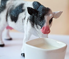 Image showing Miniature cow