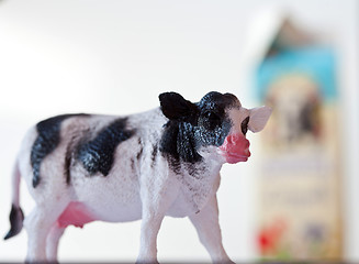 Image showing Miniature cow