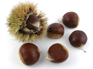 Image showing Chestnuts