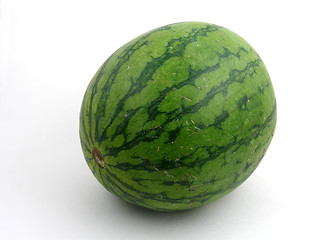 Image showing Watermelon