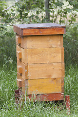 Image showing beehive