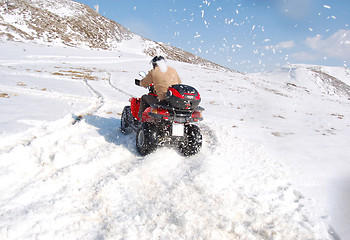 Image showing Quad adrenaline in snow