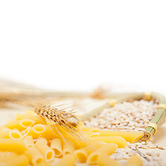 Image showing Italian pasta penne with wheat