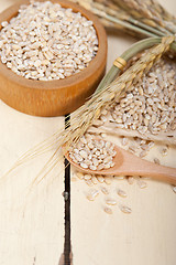 Image showing organic wheat grains 