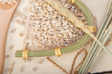 Image showing organic barley grains