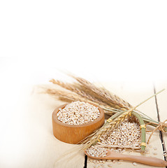 Image showing organic barley grains