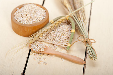 Image showing organic barley grains