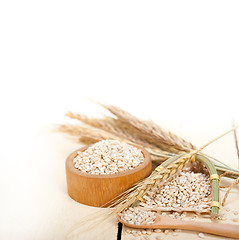 Image showing organic wheat grains 