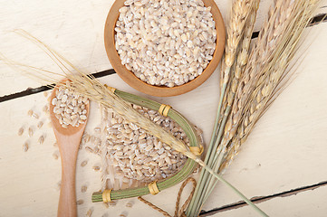 Image showing organic barley grains