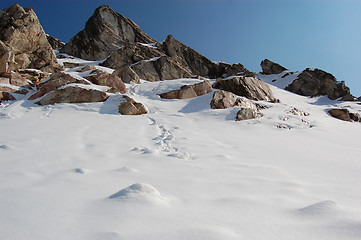 Image showing Rocks in snow