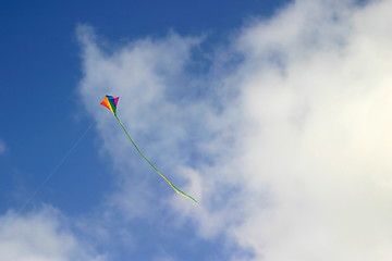 Image showing Kite (6740)