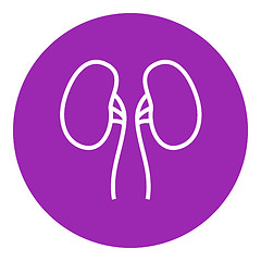 Image showing Kidney line icon.