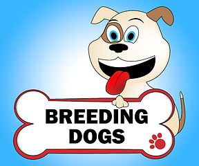 Image showing Breeding Dogs Represents Mating Doggy And Doggie