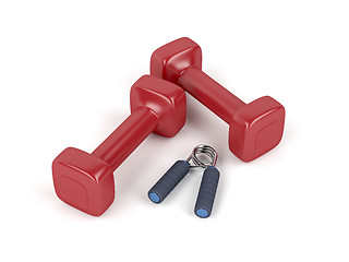 Image showing Dumbbells and hand gripper