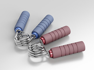 Image showing Pair of hand grippers