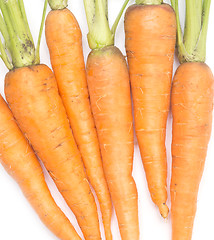 Image showing heap of carrots