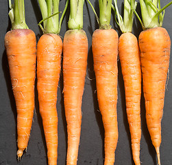 Image showing raw ripe carrots